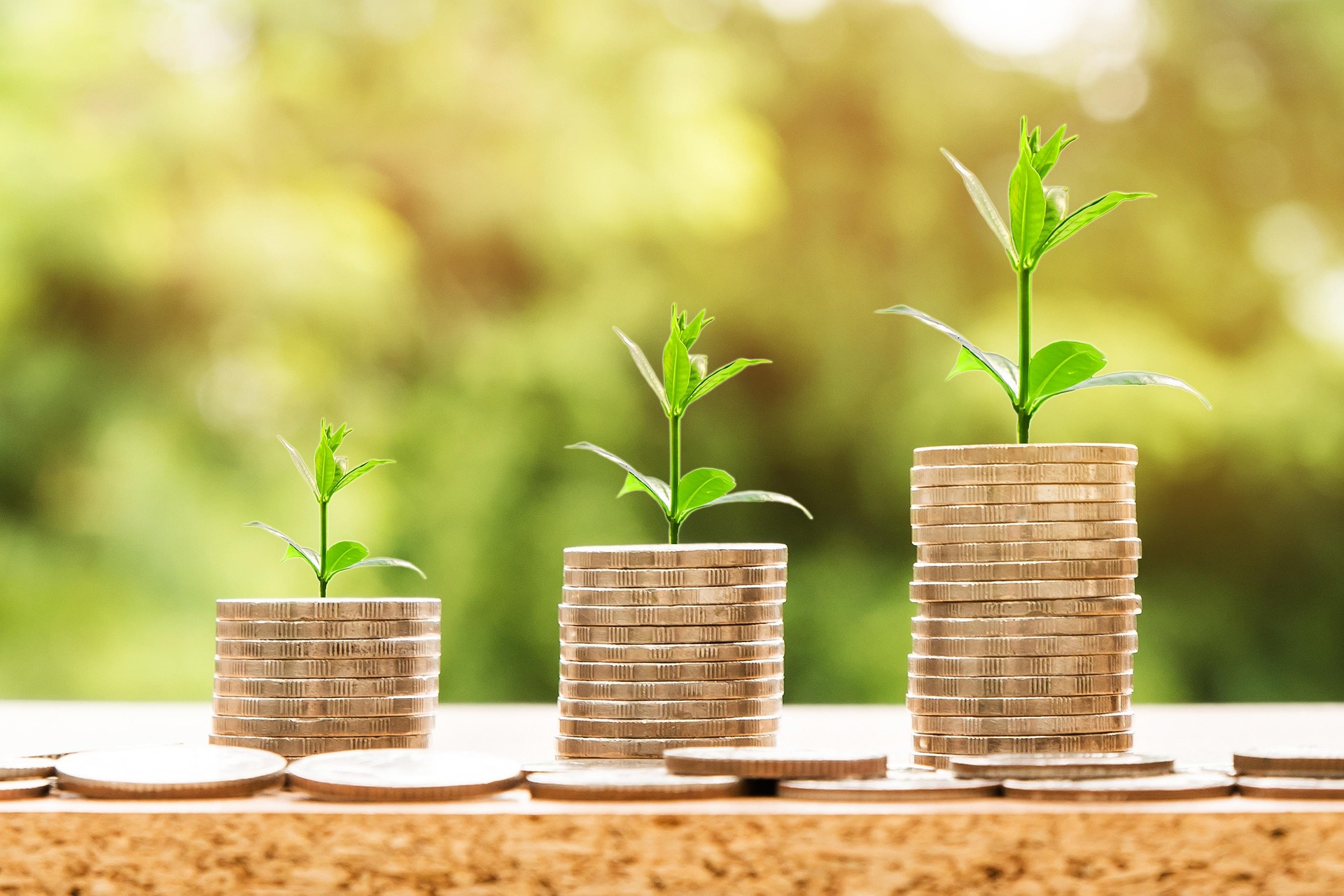 What a bankable farm proposal in Ghana actually contains